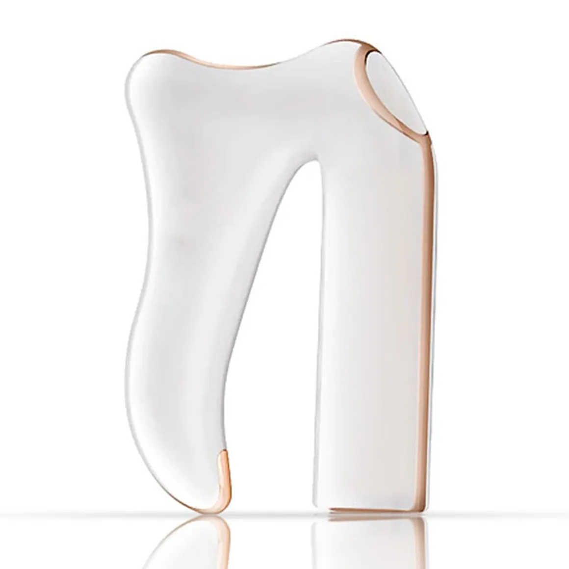 2-in-1 Cellulite Remover