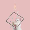 10-in-1 Extendable Cat Laser and Teaser