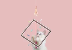 10-in-1 Extendable Cat Laser and Teaser