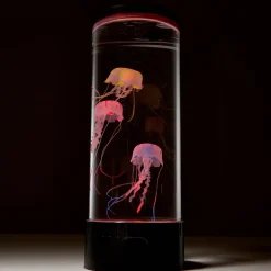 Jellyfish Aquarium