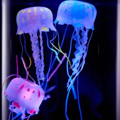Jellyfish Aquarium