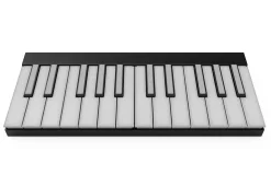 24-Key Wireless MIDI Learning Keyboard