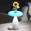 LED Ceramic Flower Vase