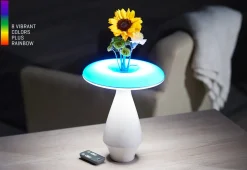 LED Ceramic Flower Vase