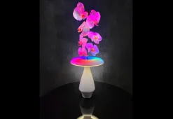 LED Ceramic Flower Vase