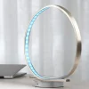 LED Color Changing Ribbon Lamp