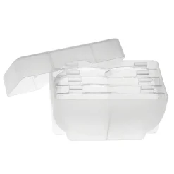 Magnifying Visor