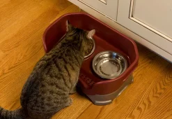 Mess Proof Pet Feeder