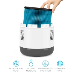 Mist-Free Humidifier