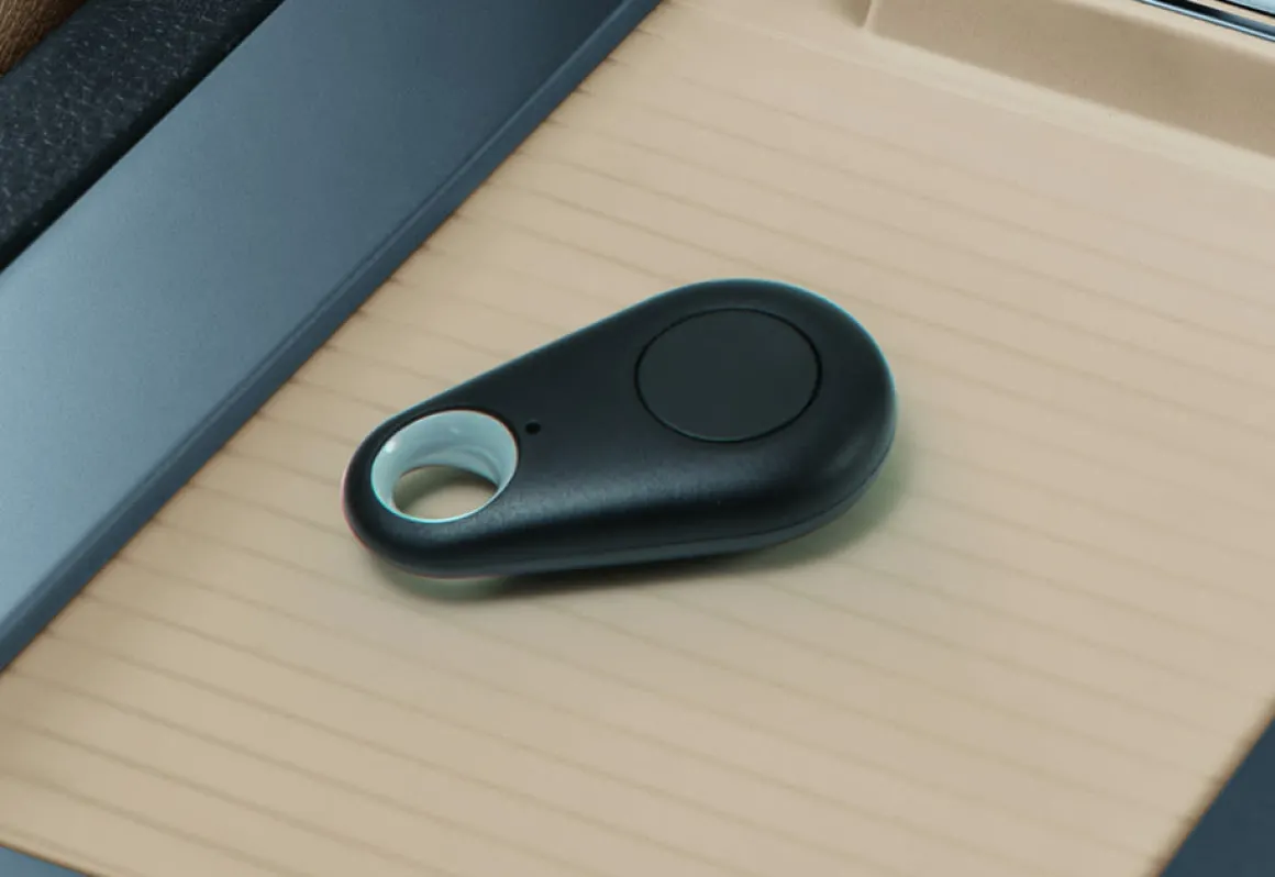 Motion Detection Car Alarm