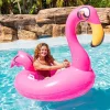 Motorized Pool Float