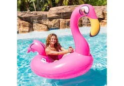 Motorized Pool Float