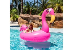 Motorized Pool Float