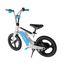 My First E-Bike