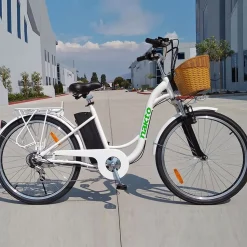NAKTO Camel Electric Bike