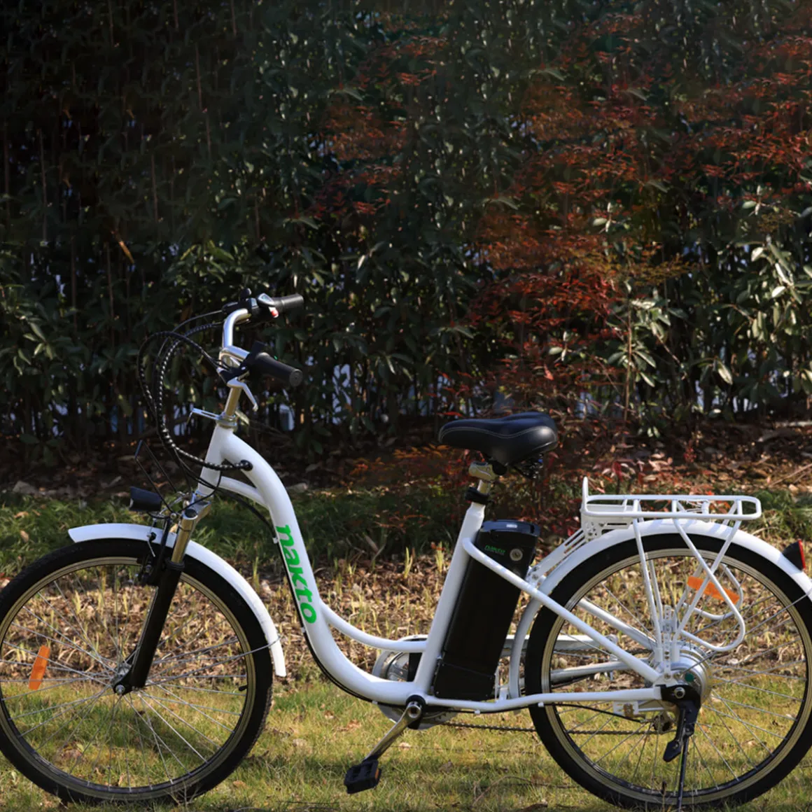 NAKTO Camel Electric Bike