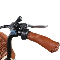 NAKTO Classic Electric Bike
