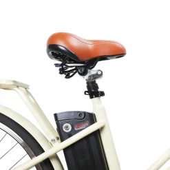 NAKTO Classic Electric Bike