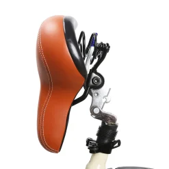 NAKTO Classic Electric Bike