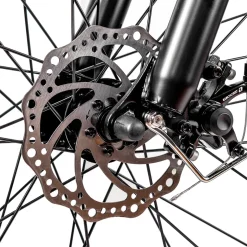 NAKTO Cruiser 2 Electric Bike