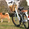 NAKTO Elegance Electric Bike