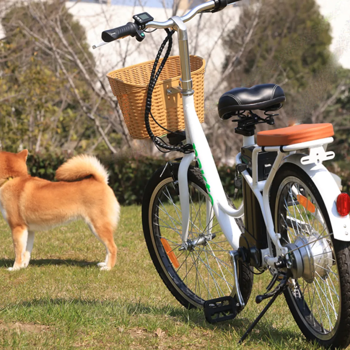 NAKTO Elegance Electric Bike