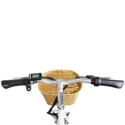 NAKTO Elegance Electric Bike