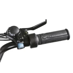 NAKTO Folding Electric Bike