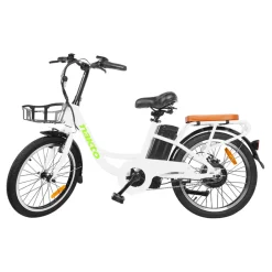 NAKTO Pony Electric Bike