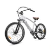 NAKTO Santa Monica Electric Bike