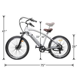 NAKTO Santa Monica Electric Bike