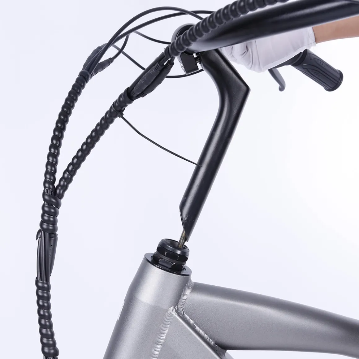 NAKTO Santa Monica Electric Bike