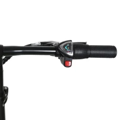 NAKTO Skylark Electric Bike