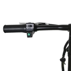 NAKTO Skylark Electric Bike