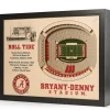 NCAA 3D Stadium Wall Art