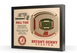 NCAA 3D Stadium Wall Art