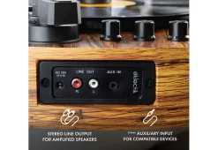 Novelty Guitar Turntable