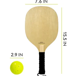 Official Size Pickleball Net Set