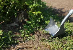 One Shot ''Wing'' Shovel