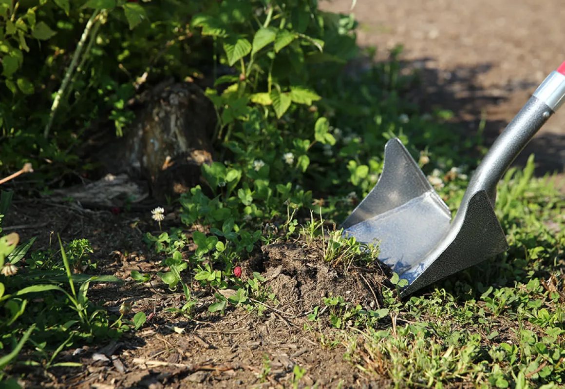 One Shot ''Wing'' Shovel