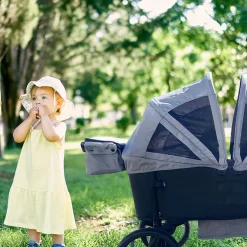 Outdoor Wagon Buggy
