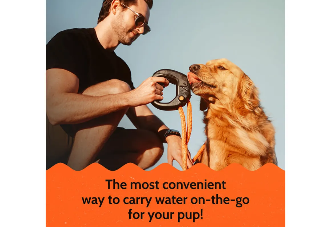 Pet Water Bottle Leash