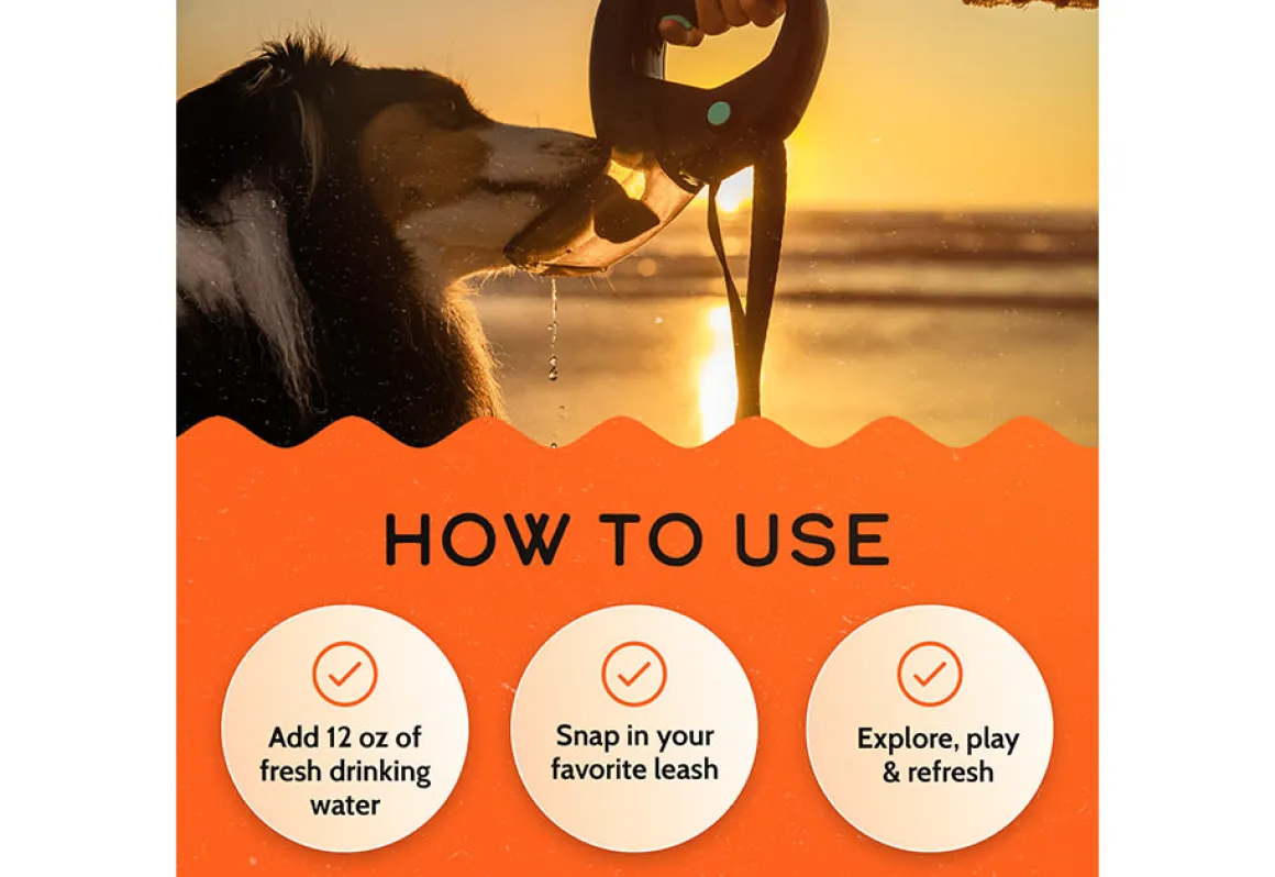 Pet Water Bottle Leash