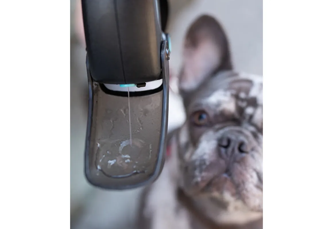 Pet Water Bottle Leash