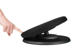 Posture Balance Core Trainer