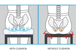 Posture Improving Contoured Comfort Cushion