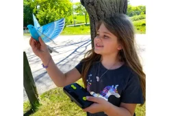 RC Flying Bird (Set of 2)