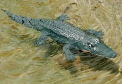 RC Robot Crocodile