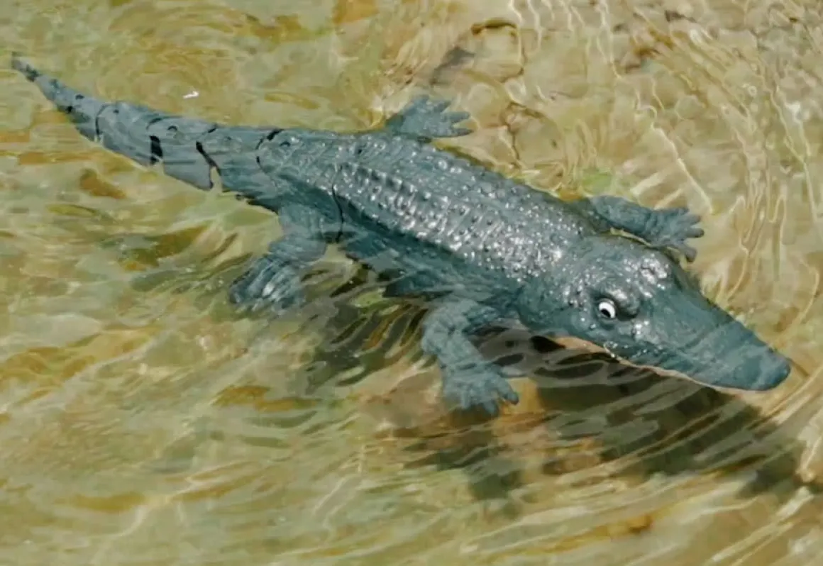 RC Robot Crocodile