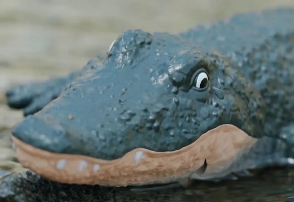 RC Robot Crocodile